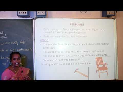 IV STD | SCIENCE | 28-08-2020 |