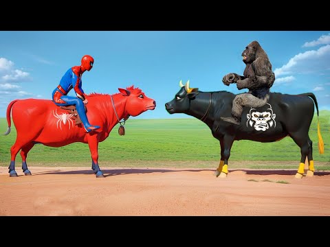 Pro 5 Spider-Man Cow vs Gorilla With Dance Ride on Bridge Shark Spiders | Funny Game Cows Superhero