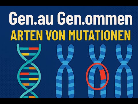 Gen.au Gen.ommen - Welche Arten von Mutationen gibt es? (Teil 2)