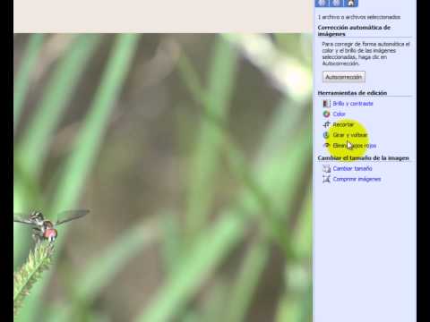 Cambiar las fotos de tamaÃƒÂ±o con Microsoft Office Picture Manager