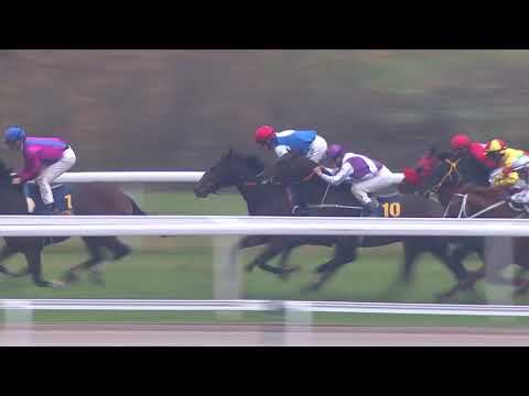 2019.10.20 Mr Ascot Vinterfavoriternas Pris (SWE) - Timo Nurmos