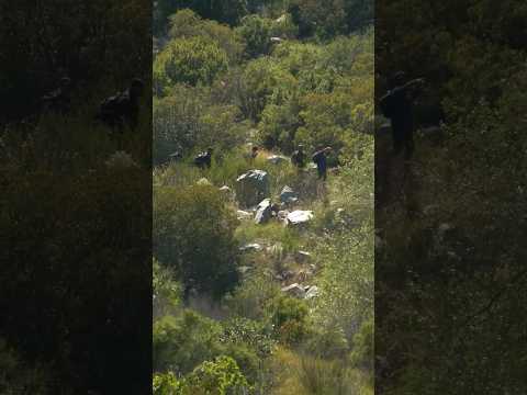 Así cruzan “los coyotes“ a los migrantes en la frontera. @soyalejandroguerra