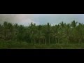 Apocalypse Now - Opening Scene (The Doors ...
