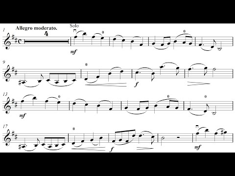 Oscar Rieding Violin Concerto in B minor op. 35 - 1. Allegro moderato - Orchestral Accompaniment