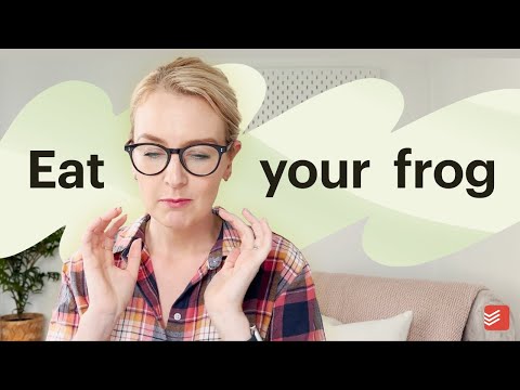 Beginner’s Guide to the Eat the Frog Method