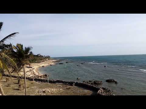 DELFT ISLAND BEACH SIDE