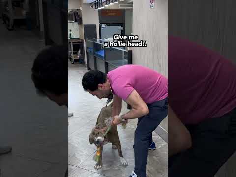 Creating 3 New Rolex's...