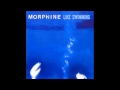 Morphine - swing it low - TheMethodrone Morphine - swing it low