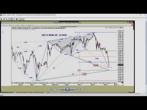 September 9th Trade What You See with Larry Pesavento on TFNN - 20161