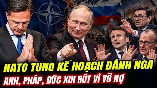 NATO Tung Kế Hoạch ĐÁNH Nga: Anh, Pháp Đức Xin Rút | LSQS Hiểu Rõ Hơn