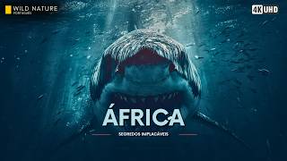 ÁFRICA - Segredos Implacáveis de um Mundo Submerso | Documentário Animal
