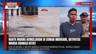 Buaya Muara 4 Meter Resahkan Warga Tembilahan