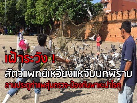 ตัวแทนอสังหาริมทรัพย์คิดเห็นพรู เพื่อเพิ่มความแรงผ่านเคาน์เตอร์