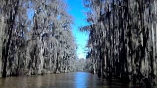 preview picture of video 'Caddo Lake- Government Ditch'
