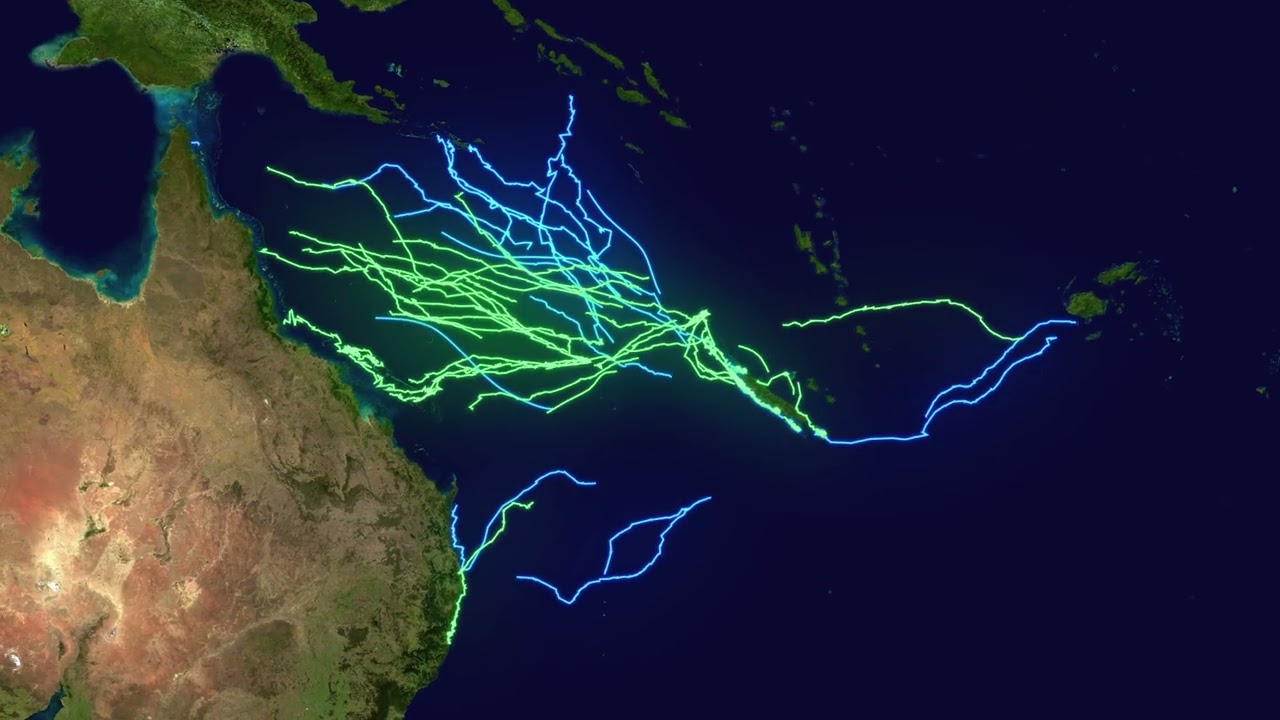 Animation cartographique des balisages des tortues calédoniennes