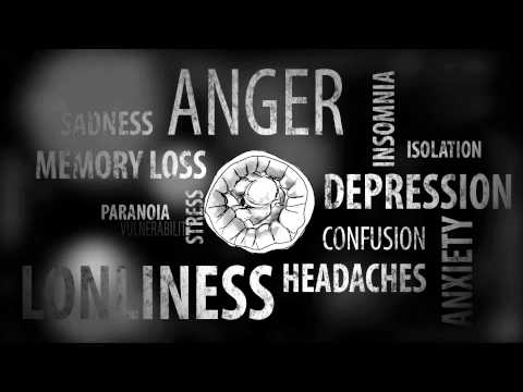 STAG VETS INC (Lets fix the problem)