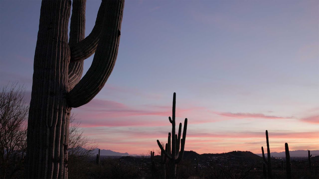 Field Notes: Night Hikes