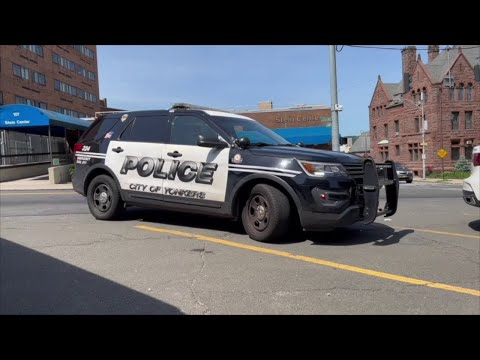 NY Westchester County Unregulated Cannabis Shops Continue To Open