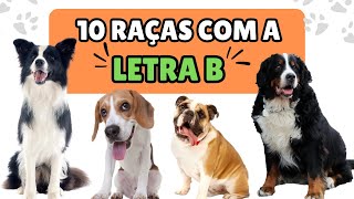 10 RAÇAS DE CACHORRO que começam com a LETRA B - CACHORROS FOFOS!