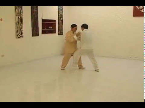 Forma Original Empuje de Manos estilo Yang - Tai Chi Chuan en Bogotá