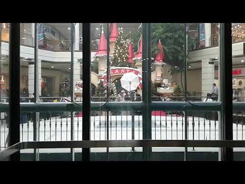 Elevator at Woodbine Centre Mall Etobicoke Ontario