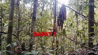 Download lagu MEMIKAT CILILIN DIALAM LIAR mp3