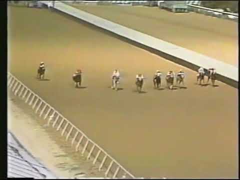 1987 All American Futurity