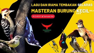 Download lagu LAGU & IRAMA TEMBAKAN SELARAS❗️(Masteran Burung Kecil) vol.4 mp3