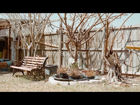 how i scan my film - epson v600 + negative lab pro