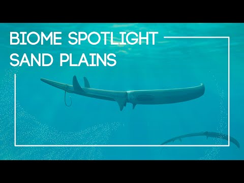 An Overview of Life Beneath an Alien Ocean  |  The Isla Project: Episode 4
