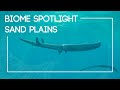 An Overview Of Life Beneath An Alien Ocean The Isla Project Episode 4