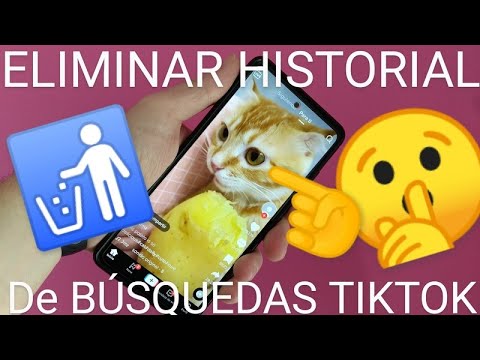 ¿Cómo eliminar tu historial de TikTok para mayor privacidad?