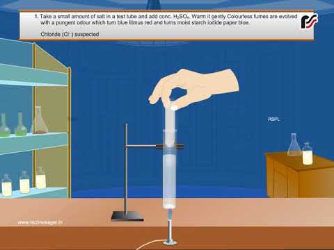 Chloride: The Ubiquitous Ion | Vibepedia