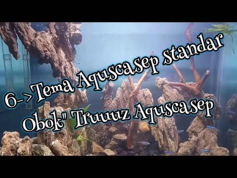 6-tema-aquascape-standar