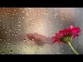 Saawan Ka Mahina Aaya Hai WhatsApp Status Aayi Milan Ki Raat Mohammad Aziz Anuradha P
