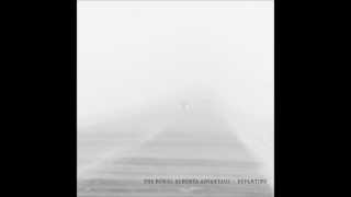 THE RURAL ALBERTA ADVANTAGE - Under The Knife