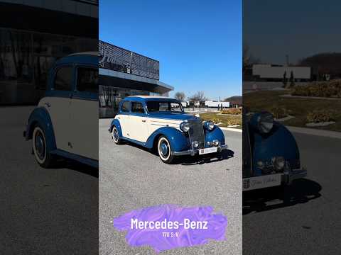 Thumbnail for Mercedes-Benz 170 S-V 1953 by Nota, Wheelbase, SEAT, Mercedes-Benz, Car, Vehicle, Van