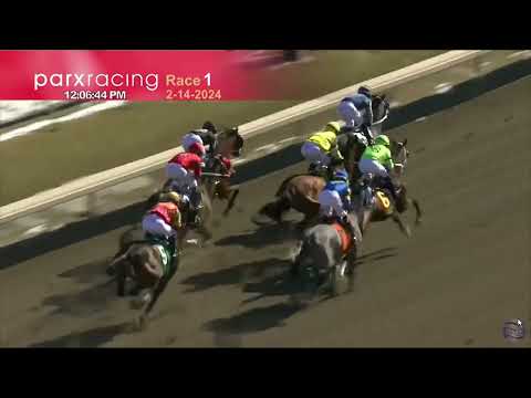 Free Bird Bordo Wins Race 1 Parx Racing. Full Race Weds. Feb. 14, 2024.
