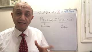 Connective tissue cells 1st y