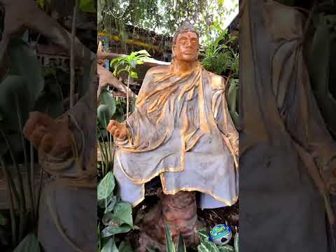 Hotel Cerro Tusa Springs Venecia Antioquia