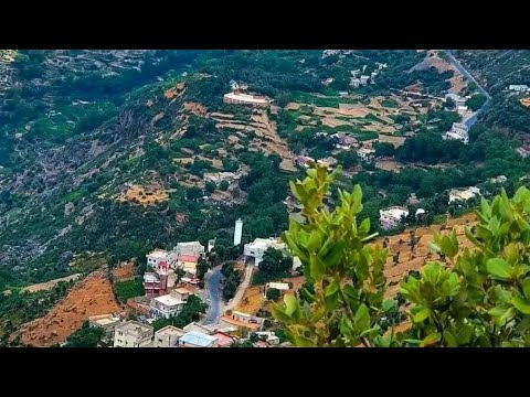 Aramam Ibrahim Tattles song and his daughter the most beautiful song