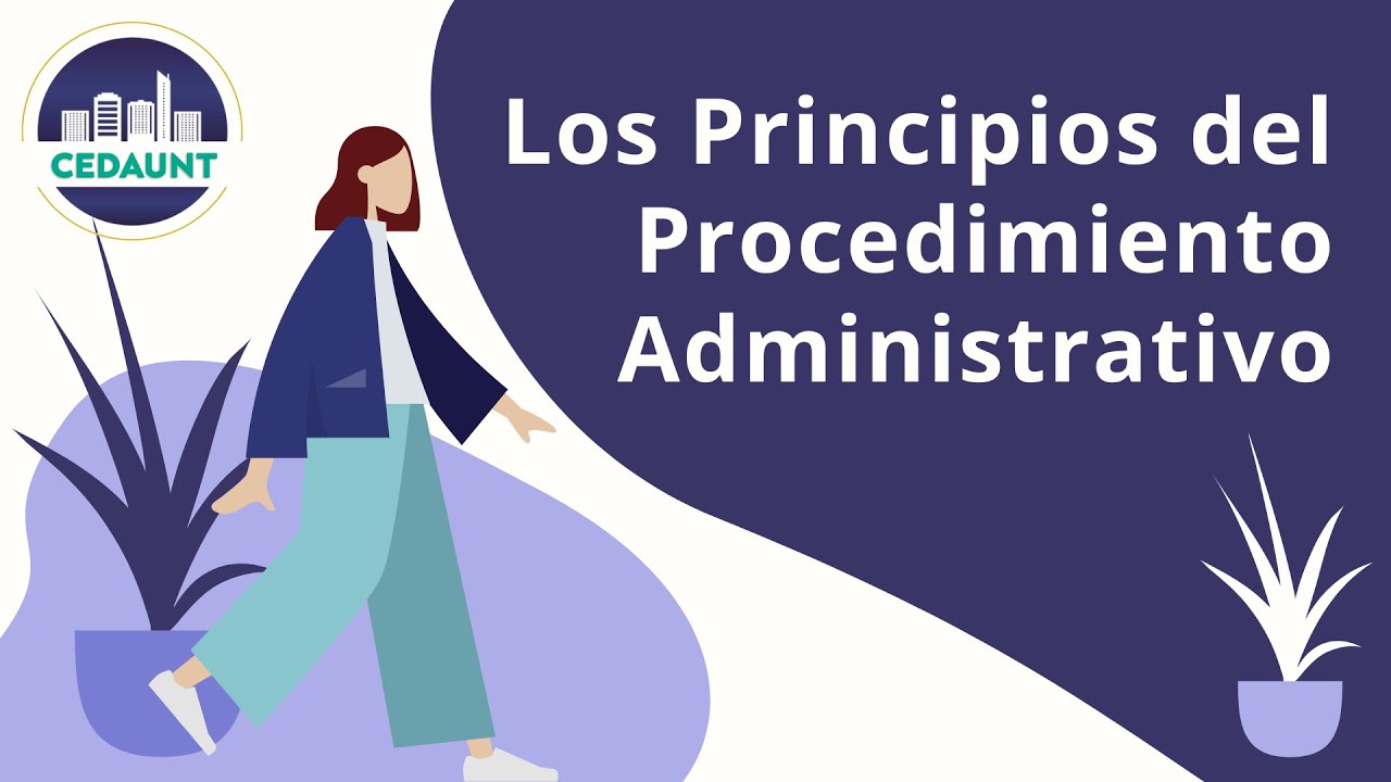 PRINCIPIOS DEL PROCEDIMIENTO ADMINISTRATIVO