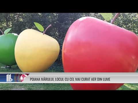 Poiana Mărului, locul cu cel mai curat aer din lume