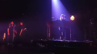 Cats On Trees - Blue