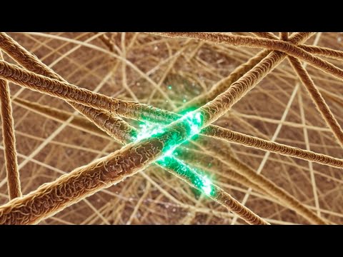 Revolution in hair care - DCE-7 technology🔥