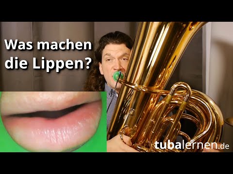 Camera in the mouthpiece: This is what lip vibration looks like.