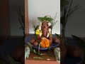 Ganesh Festival In Italy 2024 Youtubeshorts Youtube