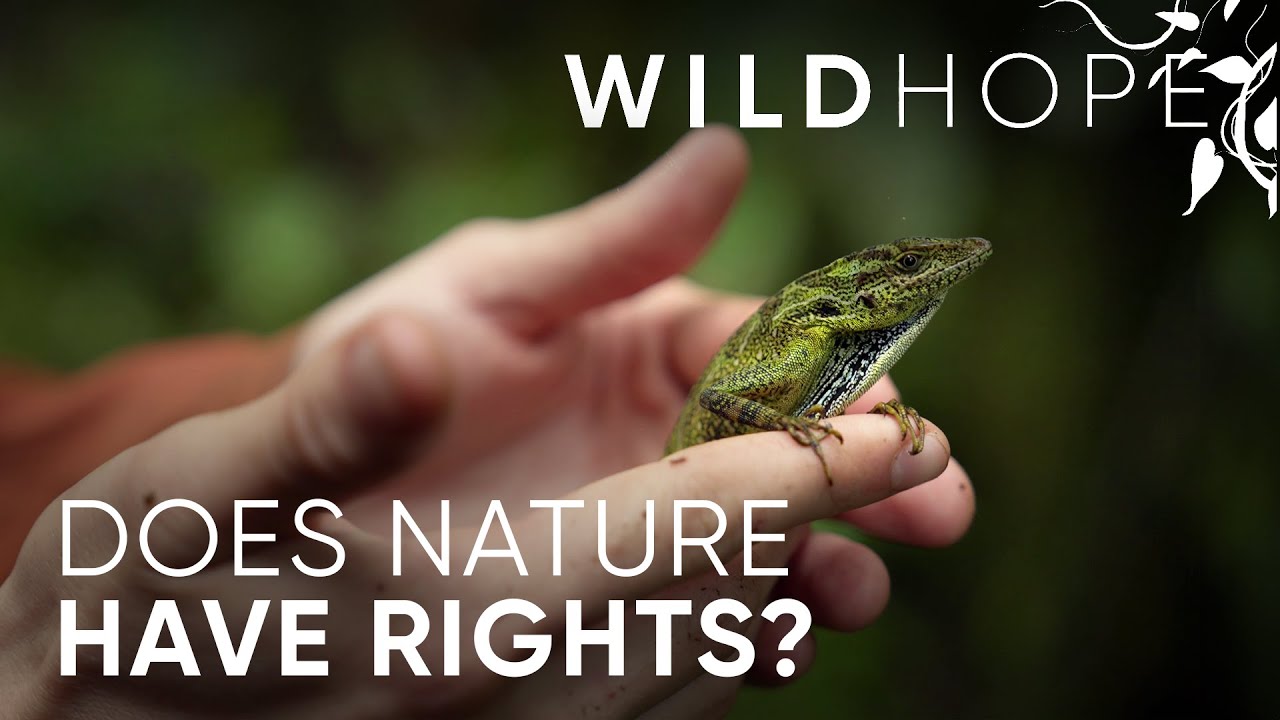 Does nature have the right to be protected? | WILD HOPE