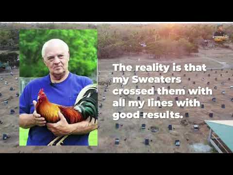 Bruce Barnett's story “Mr. Sweater.”