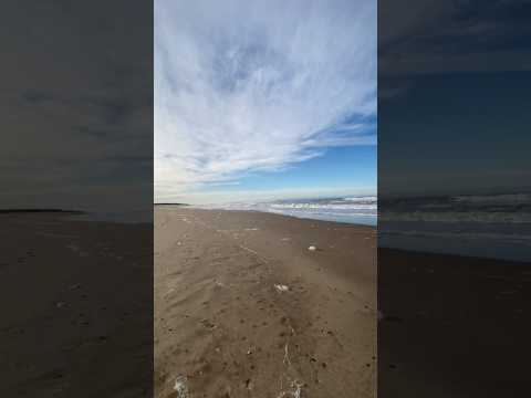 Relevamiento paisajistico en las playas de San Cayetano junto a Alfredo González